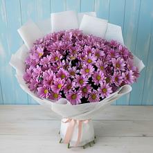 Букет цветов из:  Хризантемы в Муезерском
