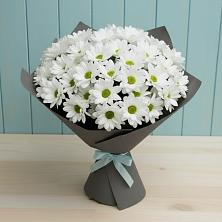 Букет цветов из:  Хризантемы в Муезерском