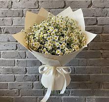 Букет цветов из:  Ромашки #REPLACE_PRED# Муезерском